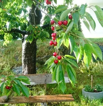 Feriendomizil 